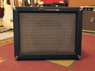 Ampeg Superjet SJ-12R