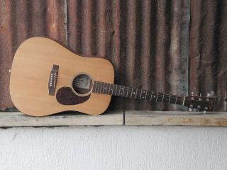 Martin DM 2007