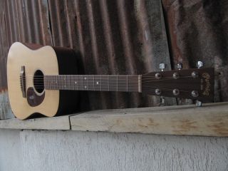 Martin DM 2007