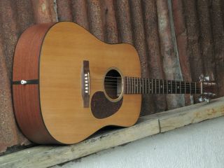 Martin DM 2007