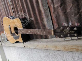 Takamine EG530C Natural