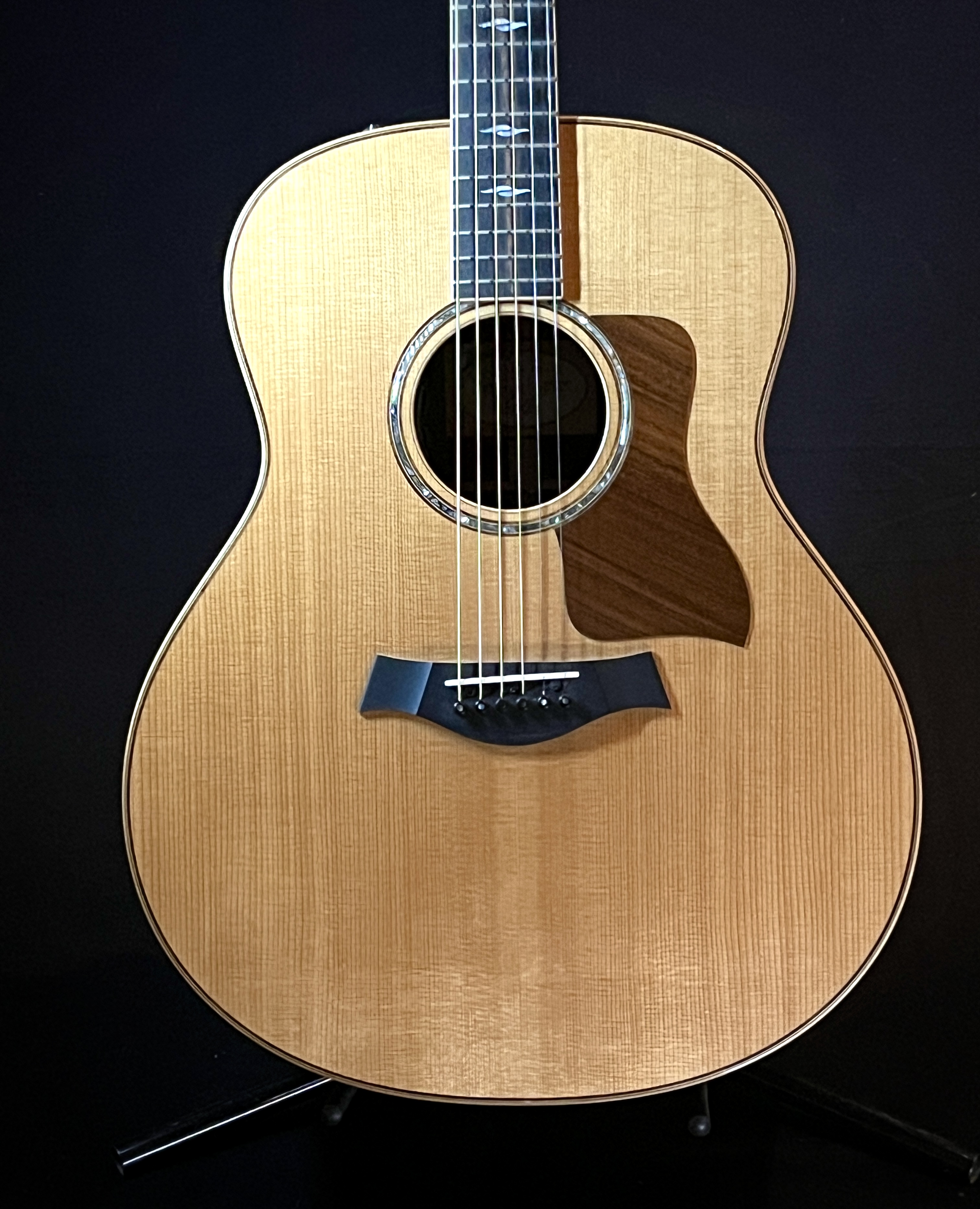 TAYLOR 818e GRAND ORCHESTRA